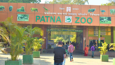 Exploring the Wonders of Wildlife: A Comprehensive Guide to Patna Zoo