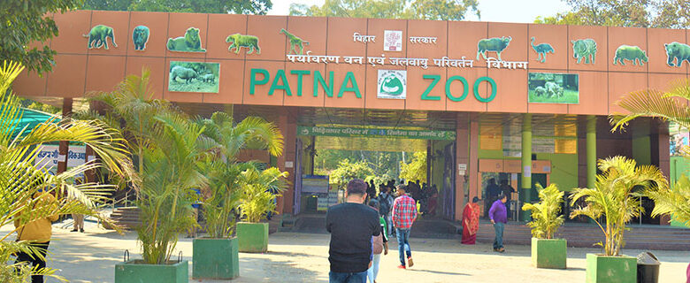 Exploring the Wonders of Wildlife: A Comprehensive Guide to Patna Zoo